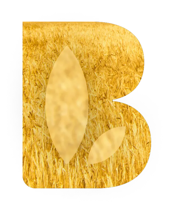 Better Foods logotipo com campo de cereais